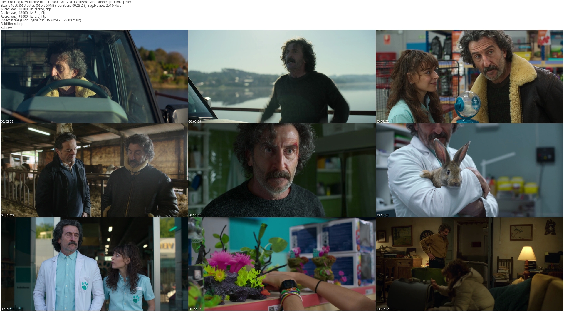 دانلود سریال Old Dog New Tricks دوبله فارسی